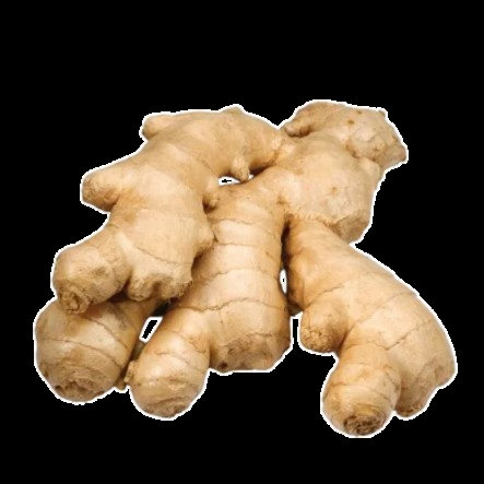 Gingers – JKRP Agro Ways